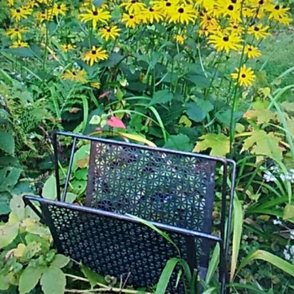 ๐ซ  Hammโs Bear for President Vintage Sz L-XL Grey UniSex - Picture 10 of 16